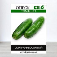 Насіння огірка Томаш F1, самозапильних, 100г